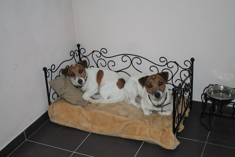 www.vip-pets.cz