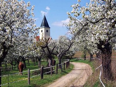Kostelík na Chvojně se nachází na energeticky silně pozitivní zóně