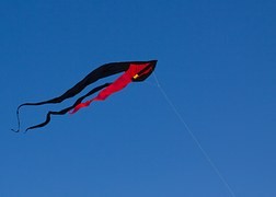 Dnes mívají draci roztodivné tvary