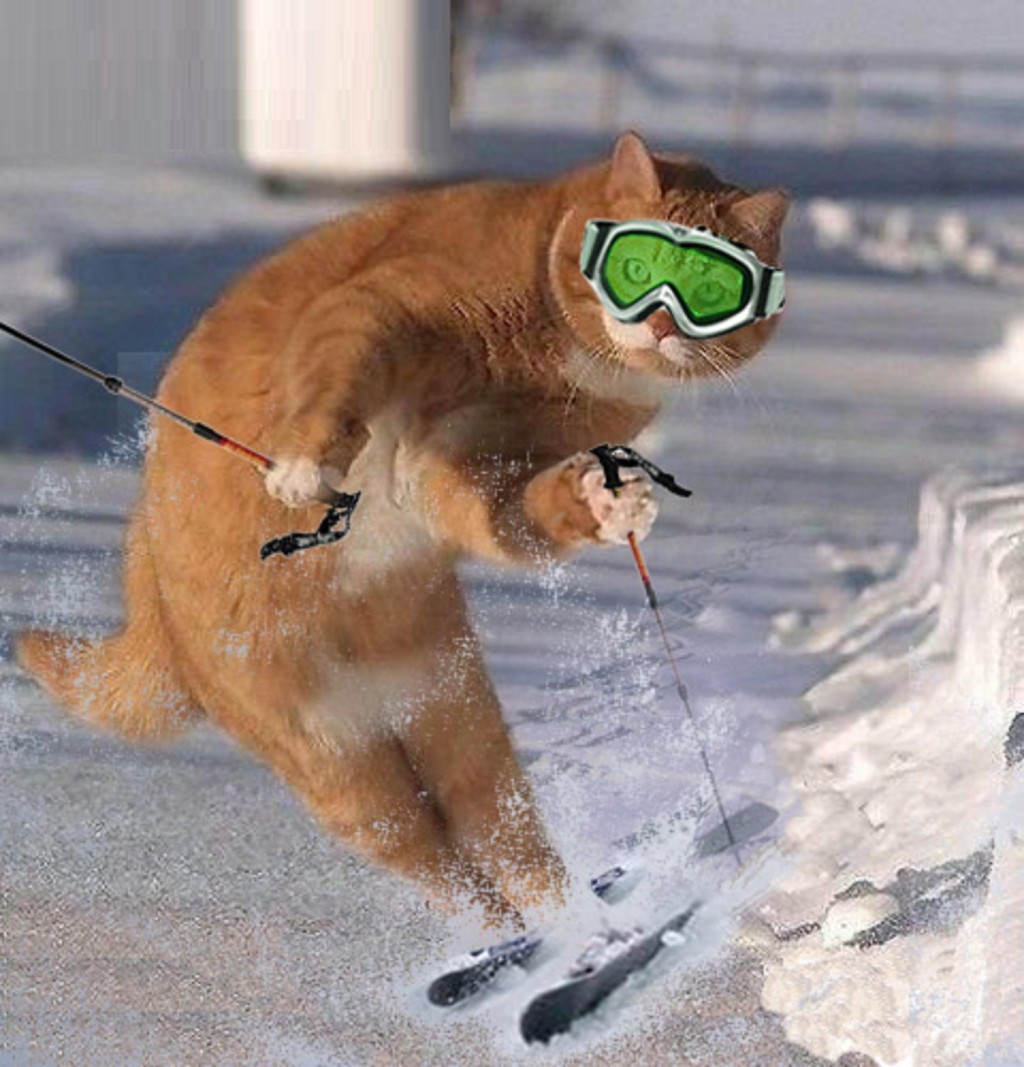 Důležitá je příprava