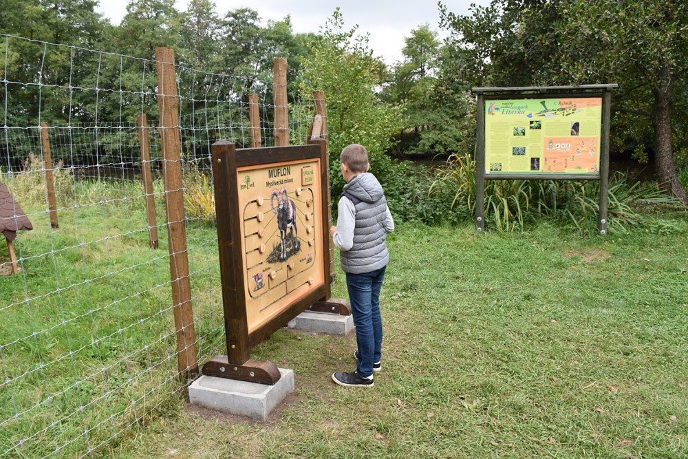 S přírodou se můžete potkat i ve městech. Nevěříte? Tak navštivte městské lesoparky