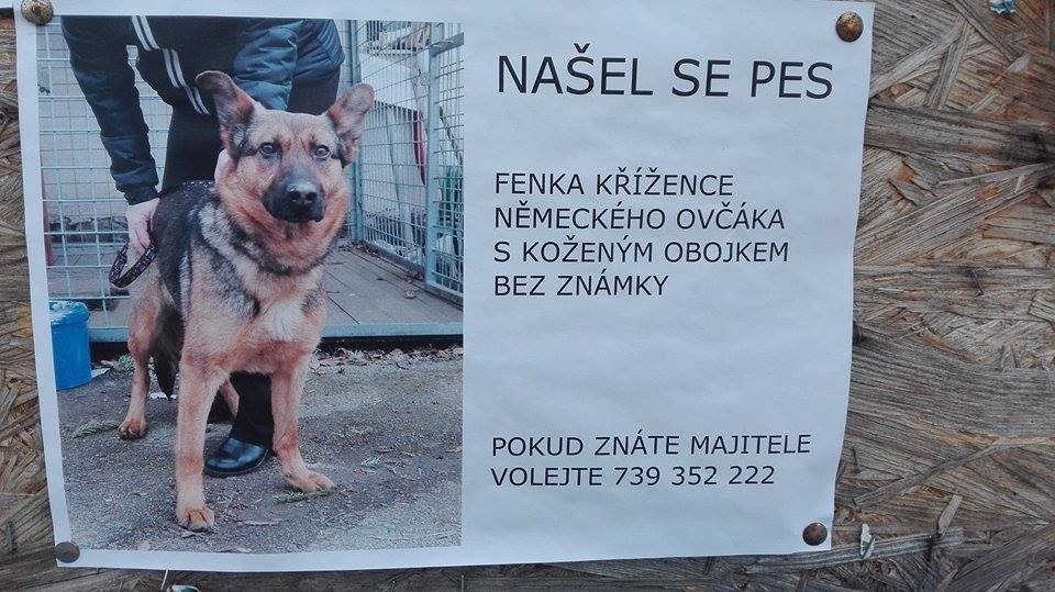Čeká na svého pána!