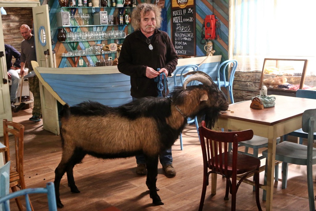 Kozel se ve filmařském ateliéru cítí jako doma