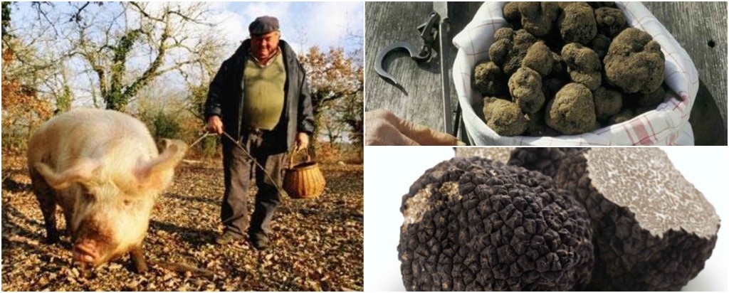 Lanýže konzumovali před několika staletími i naši předkové