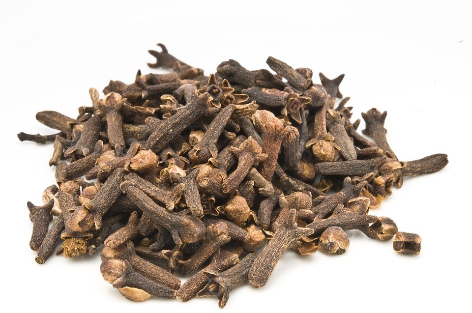 Hřebíček je hvězdou mezi kořením