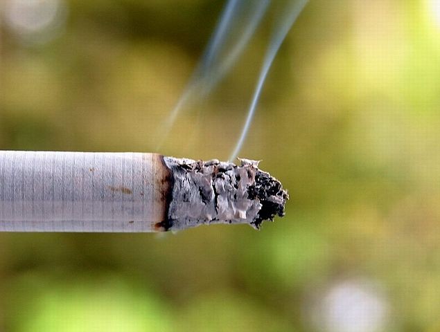 Nevinné kouření často způsobí požár celého lesa