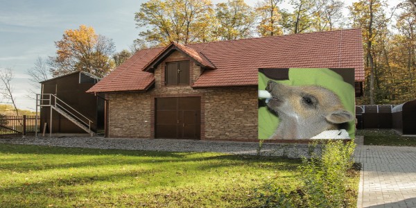 Jak se jim daří?