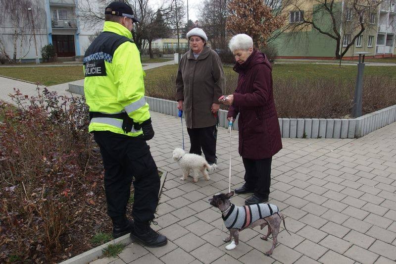 Podvodník využil důvěřivosti seniorky