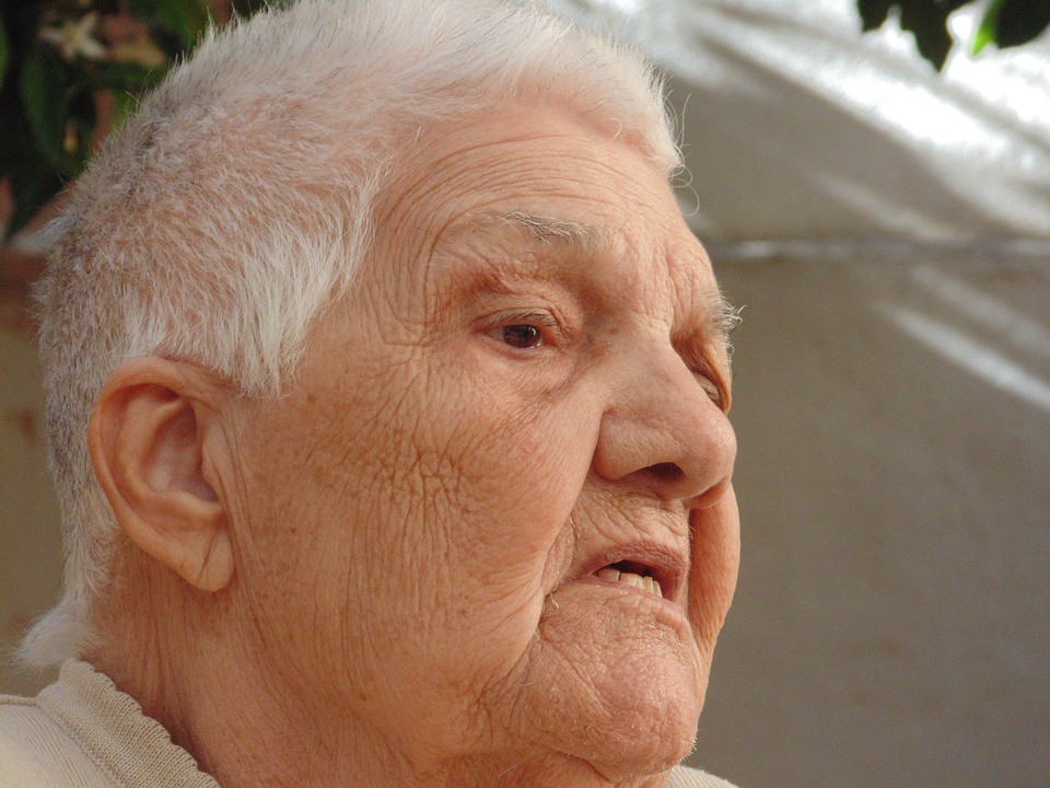 Seniorka se zranila na houbách. Ilustrační fotografie
