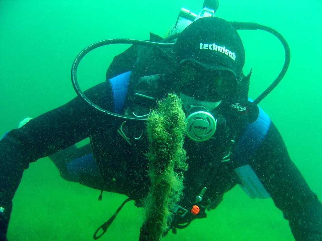 Berounští si jméno Triton vypůjčili od posla Boha moře z řecké mytologie