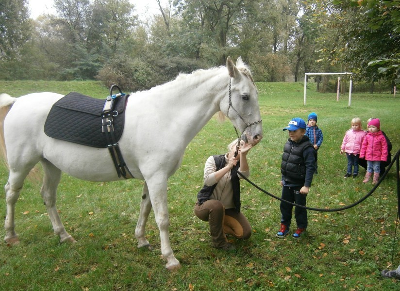 Hiporehabilitace je vhodná pro děti, ale i dospělé s handicapem