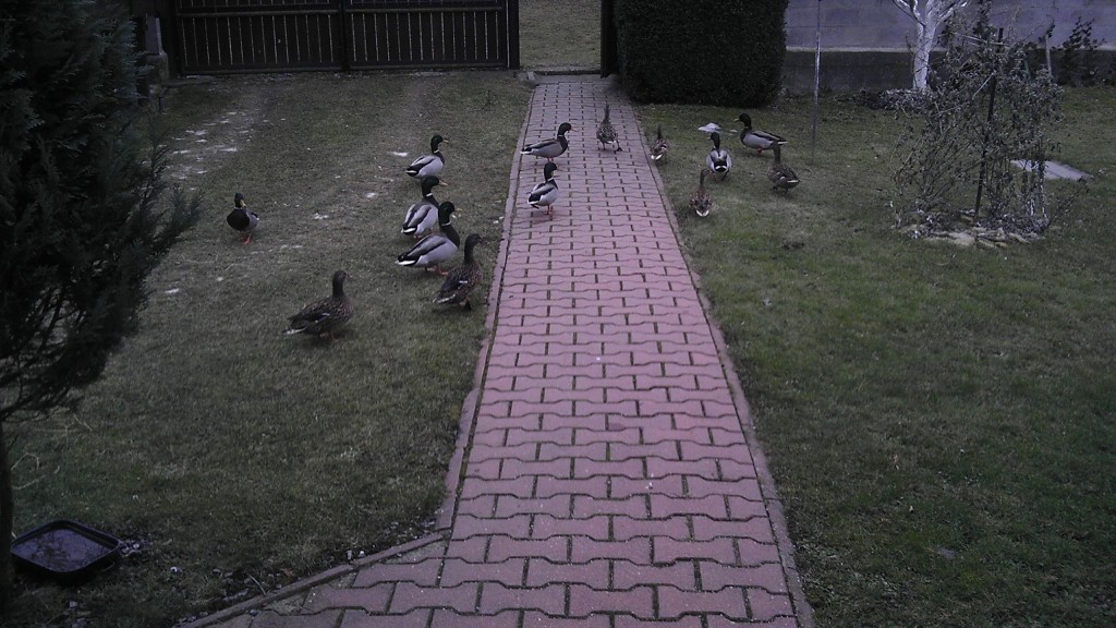 Vše vyřízeno, může se zase mazat domů