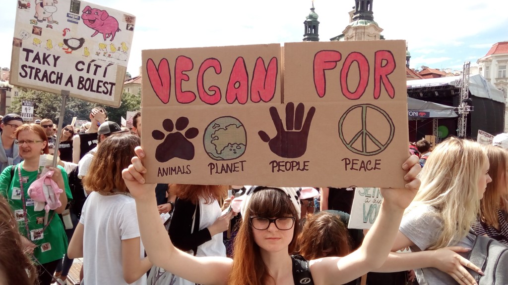 Na místě byly různé transparenty
