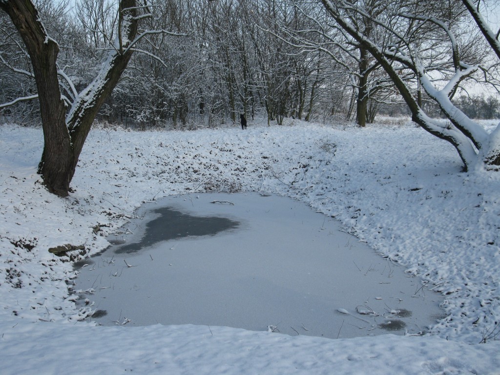 Libušino jezírko je už někdy téměř bez vody