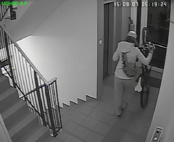 Pachatelka v domě řádila 7. září 2015, pokud ji poznáte, volejte Policii.