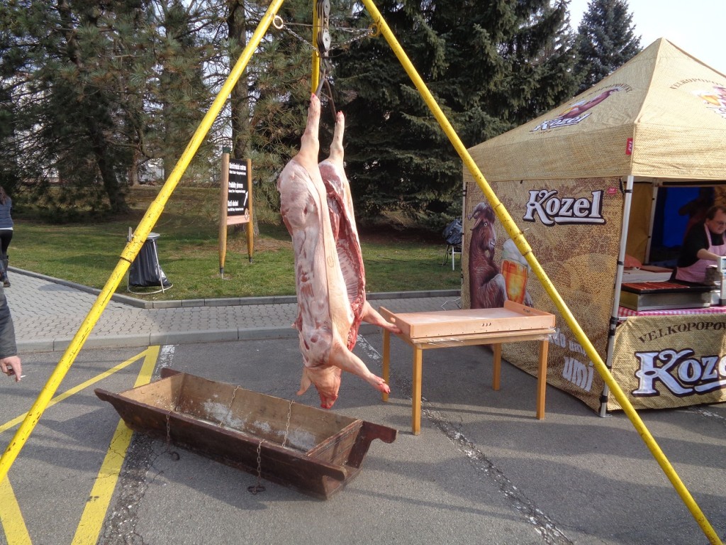 Velkopopovický řezník Vítek dodal i celé prase