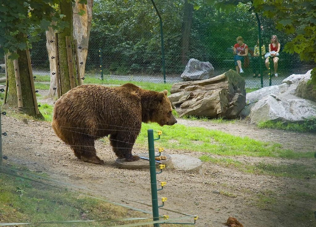 Podle čeho poznáte Kubu, Vojtu a Matěje? Odpověď najdete v textu