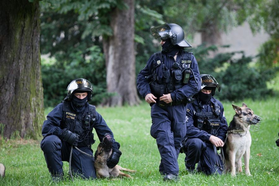 V pohotovosti budou pořádkové jednotky i kynologové a jízdní policie