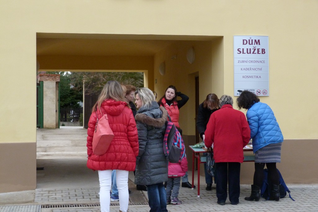 Dům služeb se otvírá během jara