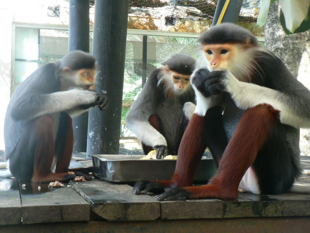 Chlebská zoo dosáhla světového uznání