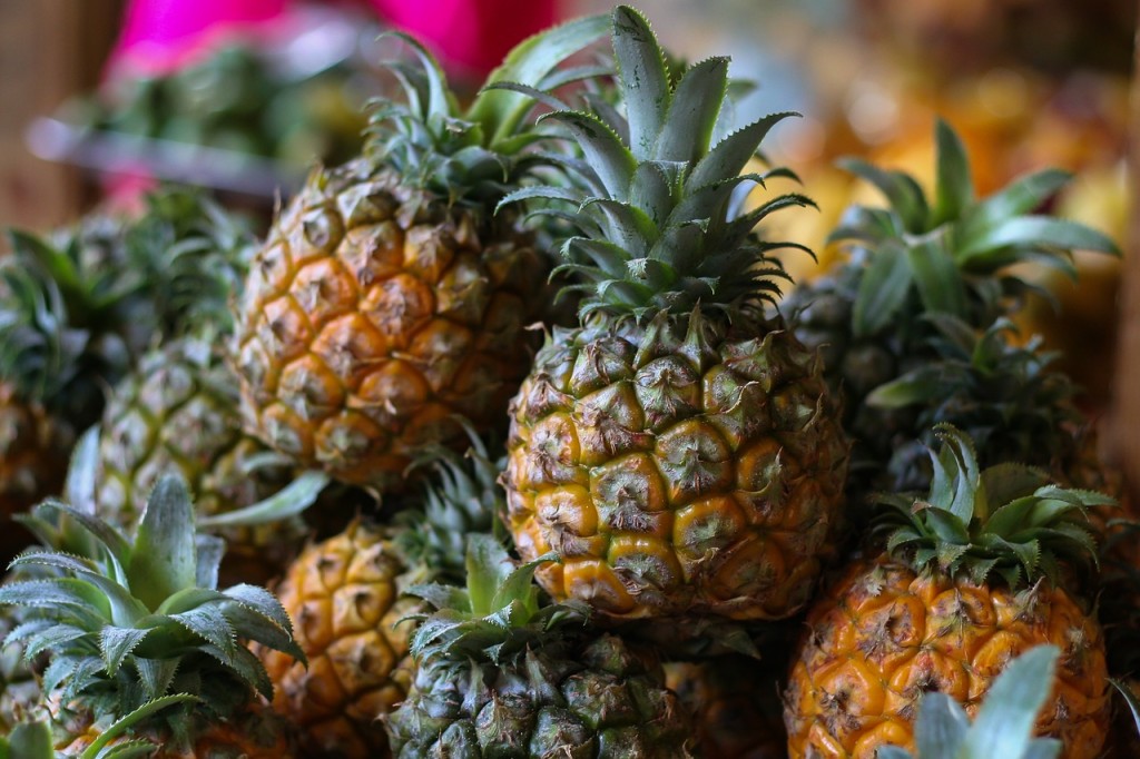 Máte rádi exotické ovoce a rádi experimentujete? Tak si vypěstujte vlastní citrusové plody nebo ananas 