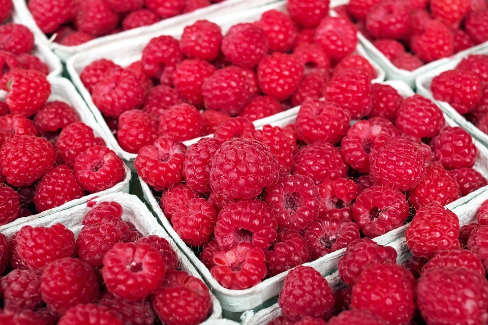 Pomohou maliny opravdu proti rakovině?