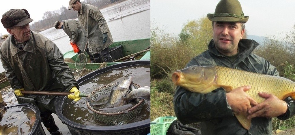 Podle studie rybáři stále více berou rybolov jako zdroj obživy. Tohle zevšeobecnění se ale vyznavačům Petrova cechu nelíbí. Dušan Hýbner, šéf středočeských rybářů, chce podporovat chovatelské aktivity místních organizací