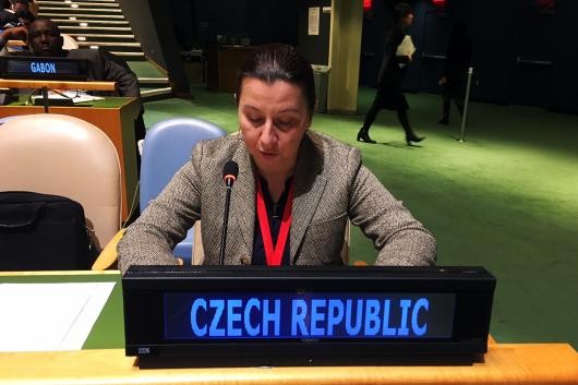 Štěpánková upozorňuje, že lidi v České republice nezajímají lidská práva
