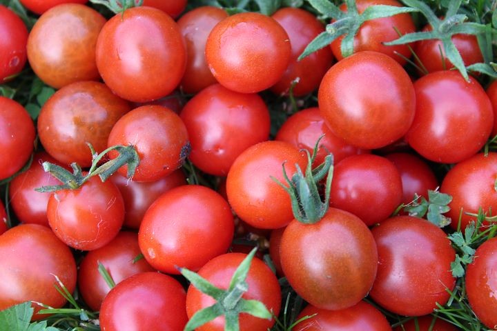 Zakonzervujte si rajčata bez jakékoliv ingredience. Jsou vynikající. Nevěříte? Tak čtěte návod