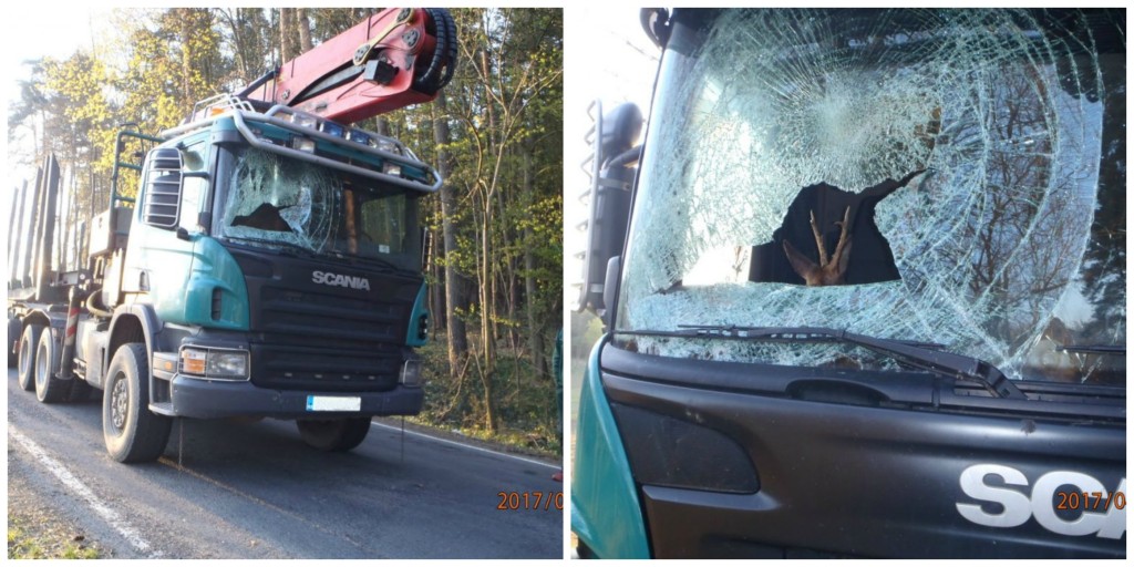 Řidič raději rychle opustil kabinu