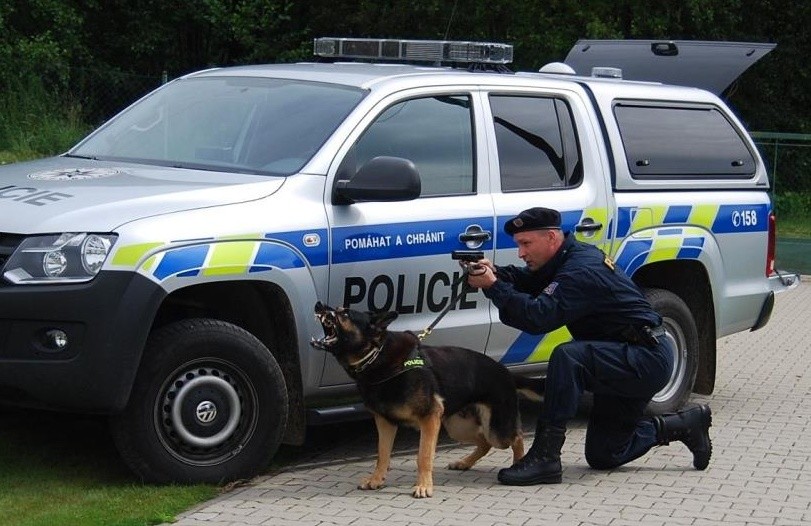 Zátah policie v regionu odhalil nelegálně zaměstnané cizince. Jeden měl dokonce falešný občanský průkaz Rumunska. Policité si v podobných případech berou na pomoc služebního psa