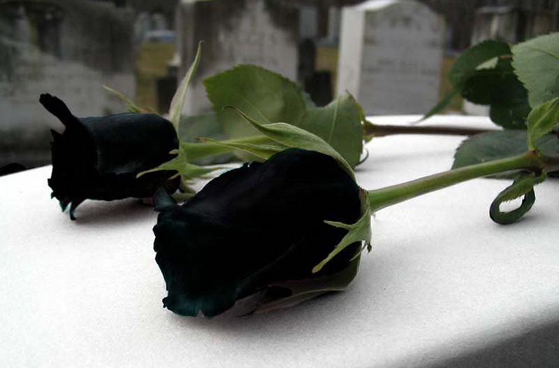 Vladimír Kobranov *04.10.1927  +25.10.2015