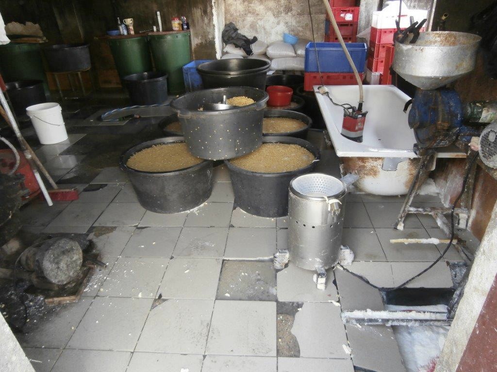 Tofu se vyrábí z nabobtnalých a rozmixovaných sojových bobů