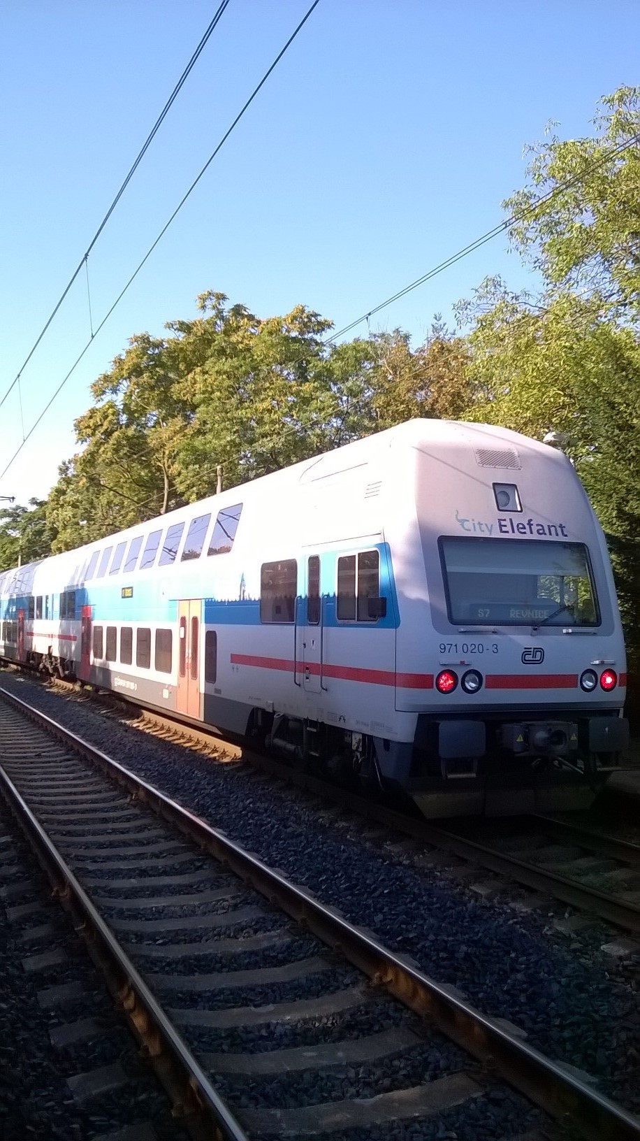 Černí pasažéři zastavili dopravu