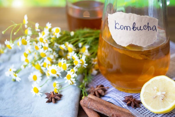 Domácí kombucha