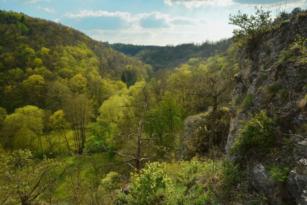 Unikátní nález hlásí čeští archeologové