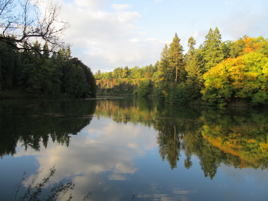 Průhonický park láká nejen na překrásné jezero