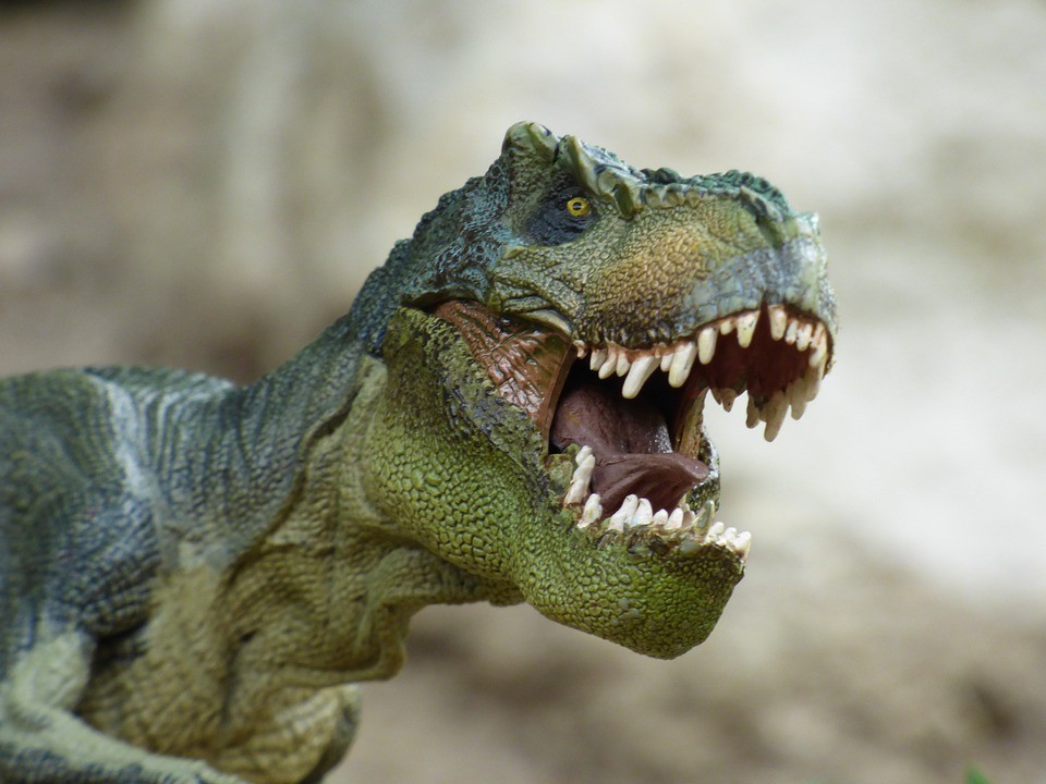 Kostra tyranosaura byla vydražena za rekordní částku