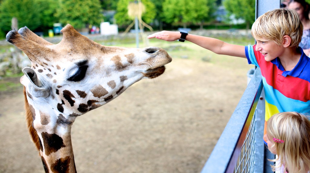 Děti se v ZOO perfektně zabaví