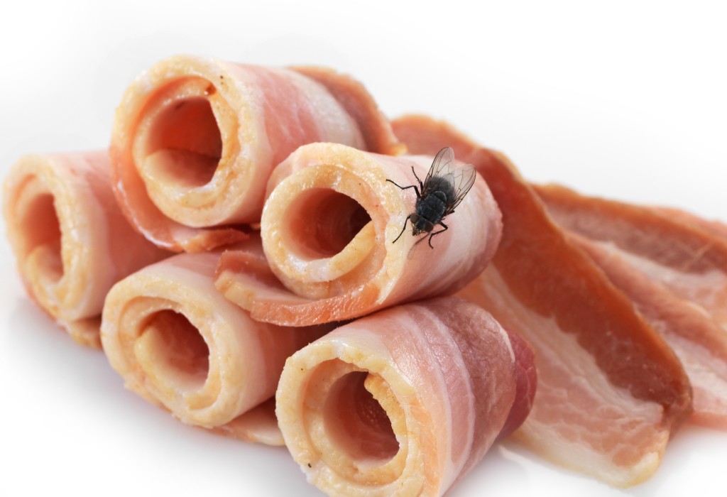 Mouchy mohou přenášet až 200 různých známých patogenů