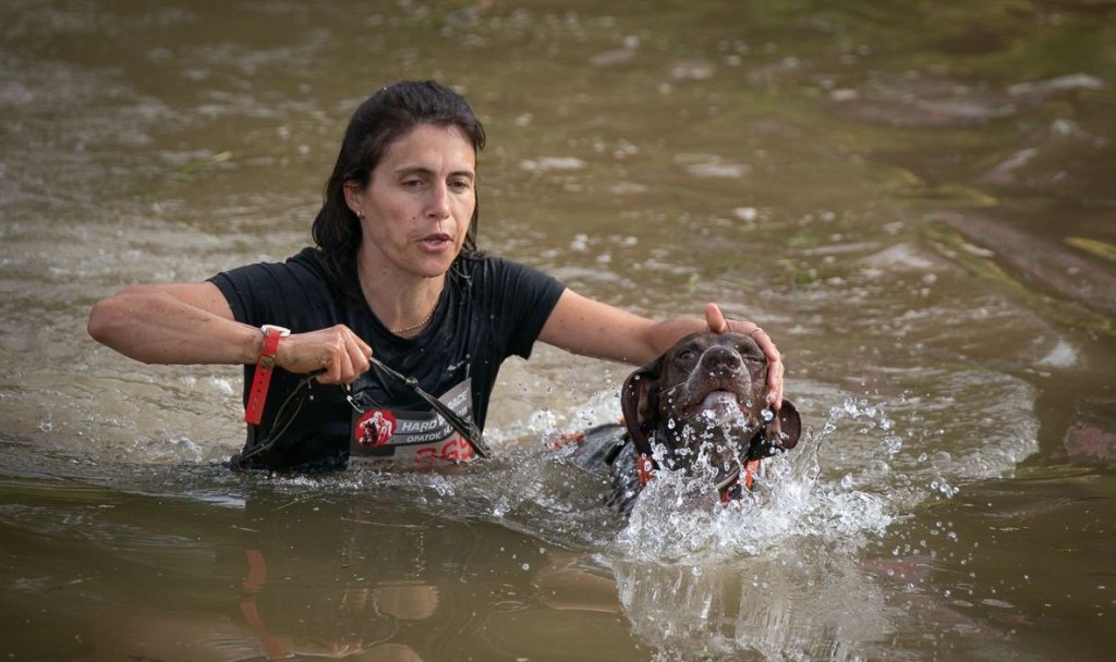 Martina nedá na své psí miláčky dopustit