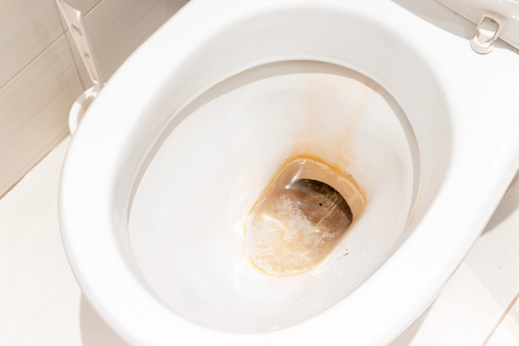 Vodní kámen z toalety odstraníte nejlépe pemzou
