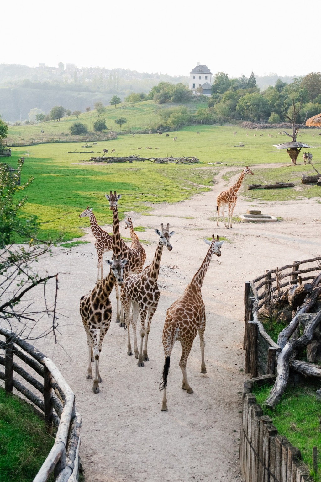 Zoo dostane více než čtyři miliony