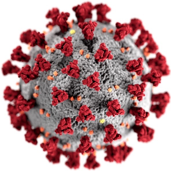 Šíření nakažlivé nemoci je trestný čin – ať už jde o virus HIV, žloutenku, či covid