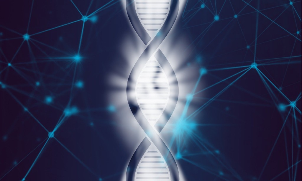 MuStARD zvládne identifikovat části DNA