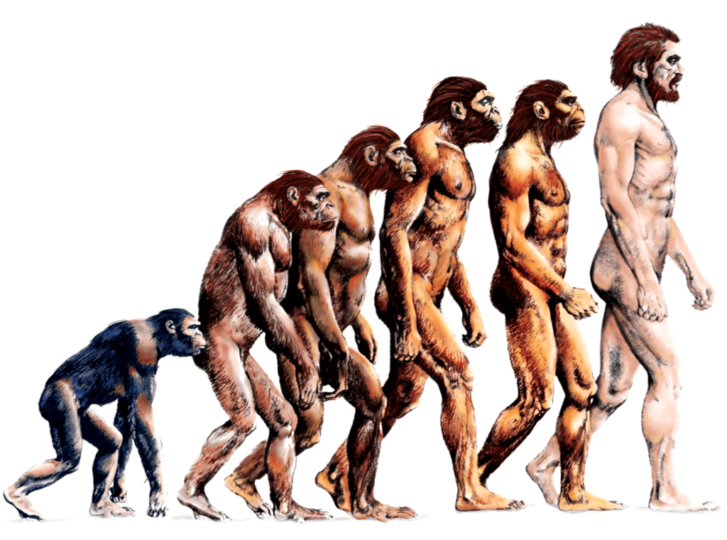 Evoluce člověka tak, jak si ji většinou představujeme