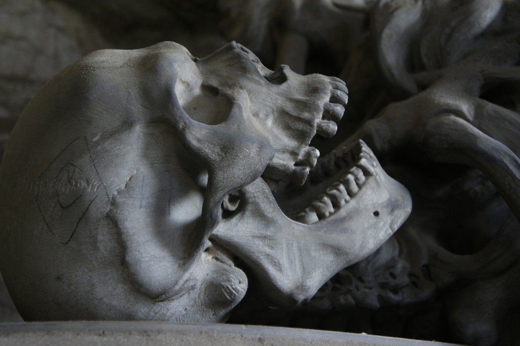Již Carl Linné postavil člověka pod druhovým označením Homo sapiens do blízkosti moderních lidoopů