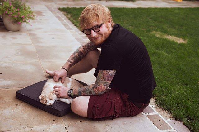 Ed Sheeran je idolem milionů mladých lidí