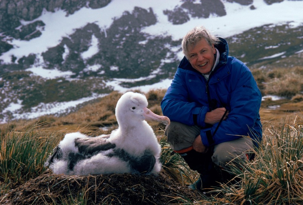 Sir David Attenborough naplnil svůj život bytostným zájmem o přírodu...