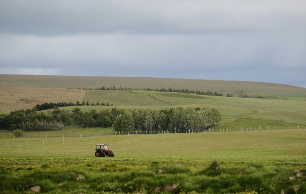 Brzy čeká české farmáře vyhynutí po meči. Zdali tomu bude i po přeslici, to ještě není známo. Jasné je, že dovoz levnějších mimoevropských produktů graduje
